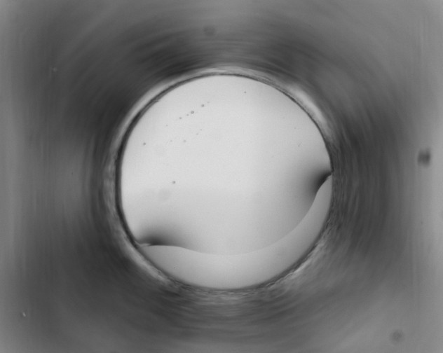 X0000102851100200809151121