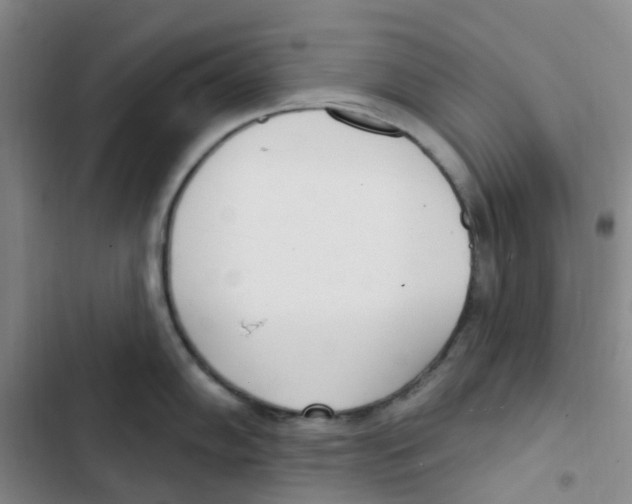 X0000102851102200809151121