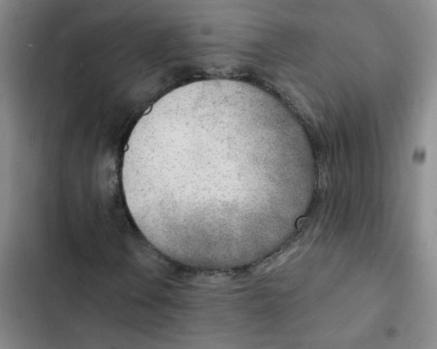 X0000102851106200809151121