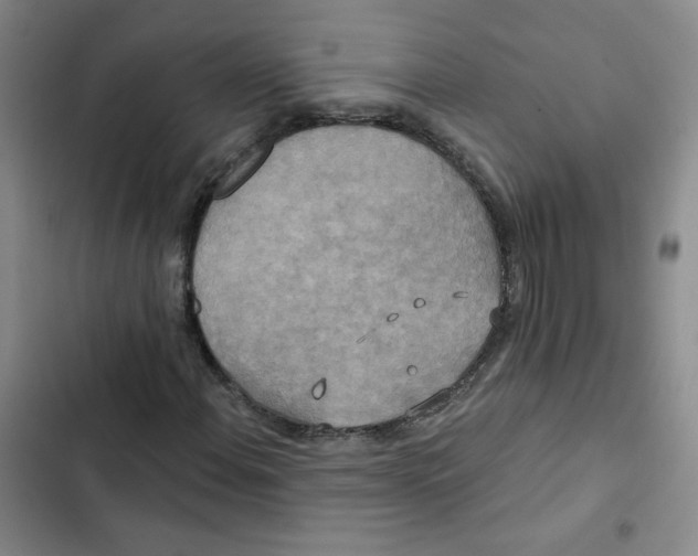 X0000102851108200809151121