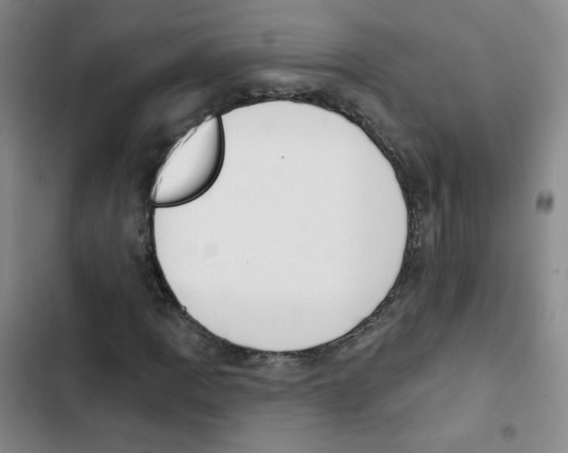 X0000102851109200809151121