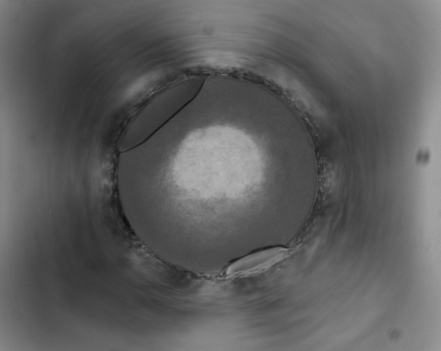 X0000102851110200809151121