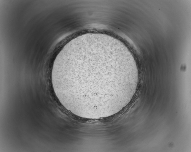 X0000102851112200809151121