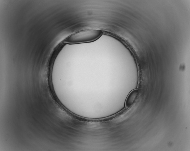 X0000102851114200809151121