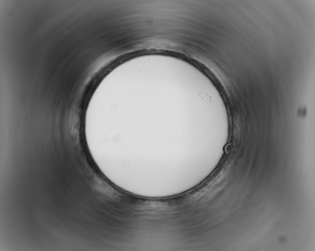 X0000102851115200809151121