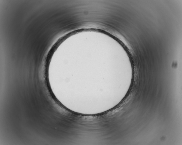 X0000102851116200809151121