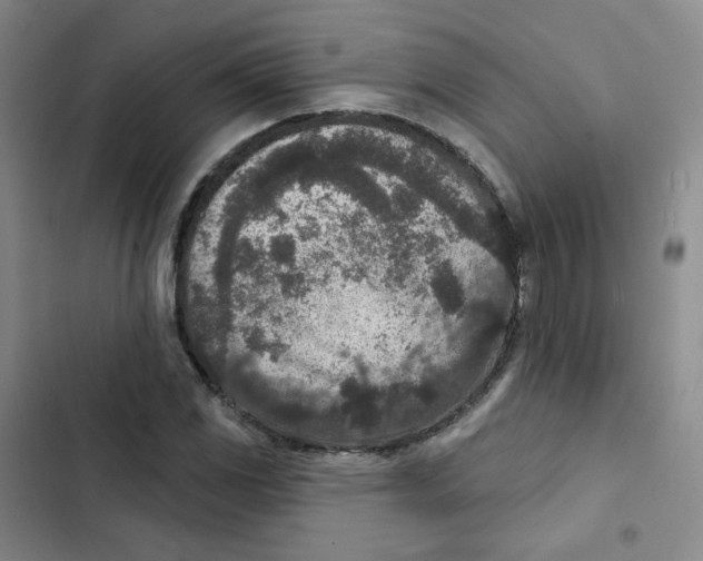 X0000102851117200809151121