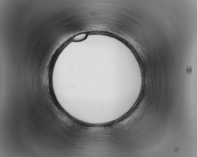 X0000102851118200809151121