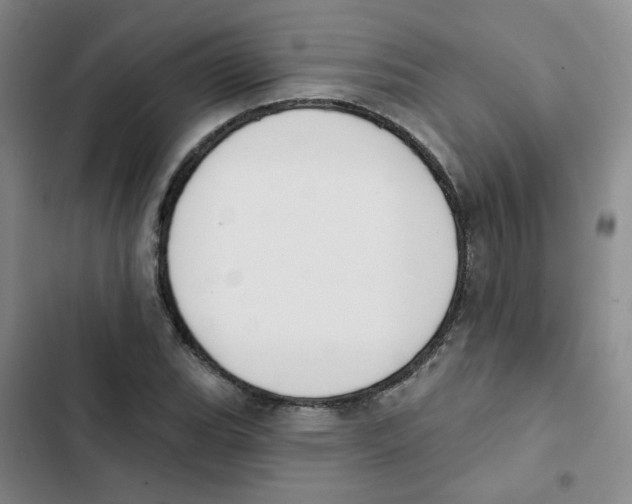 X0000102851119200809151121