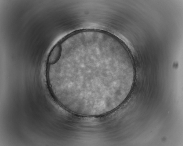 X0000102851120200809151121