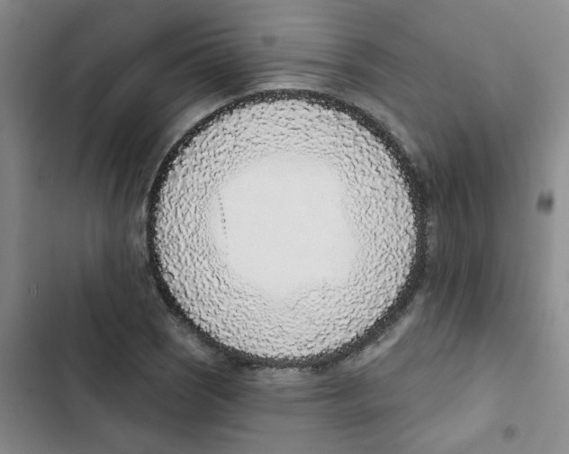 X0000102851121200809151121