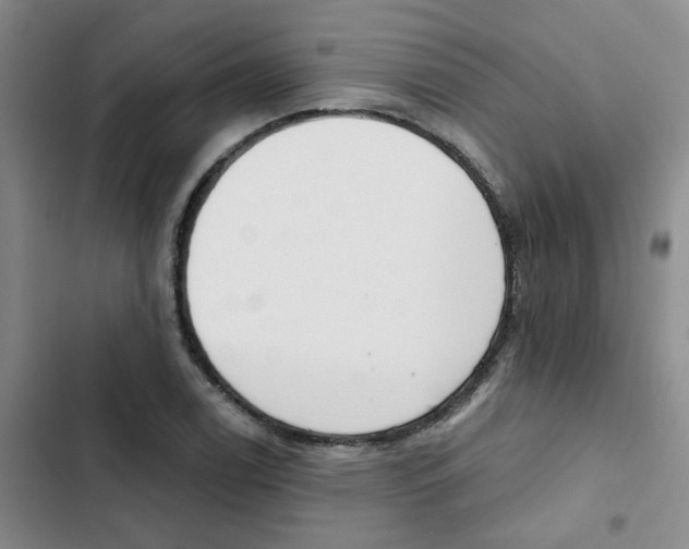 X0000102851122200809151121