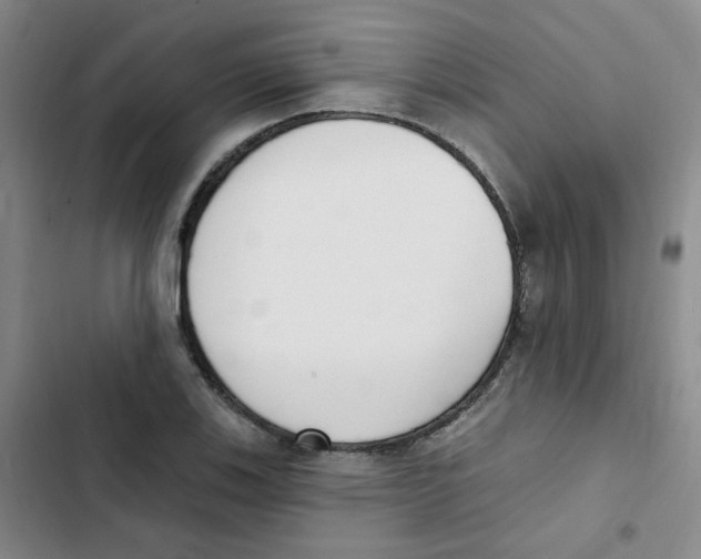 X0000102851123200809151121