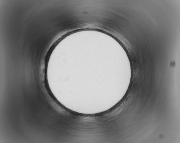 X0000102851126200809151121