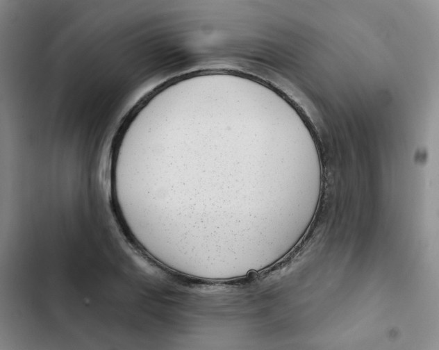 X0000102851127200809151121