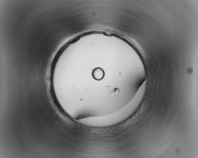 X0000102851128200809151121