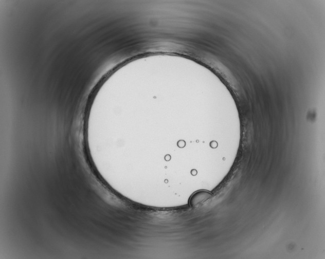 X0000102851130200809151121