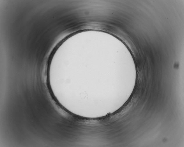 X0000102851131200809151121