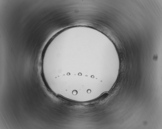 X0000102851132200809151121