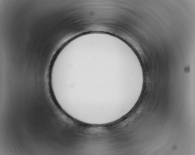 X0000102851133200809151121