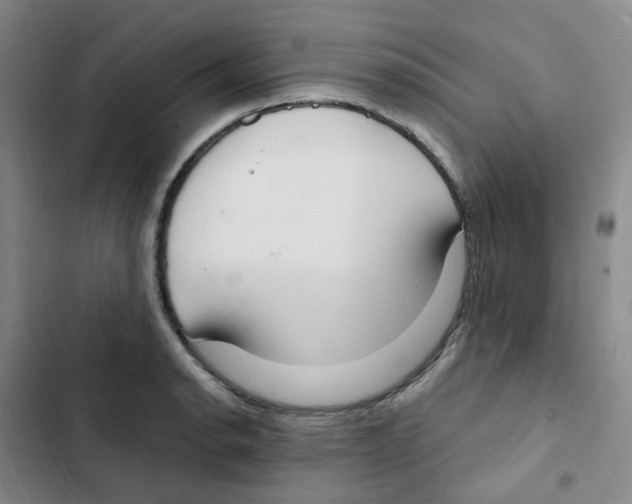 X0000102851134200809151121