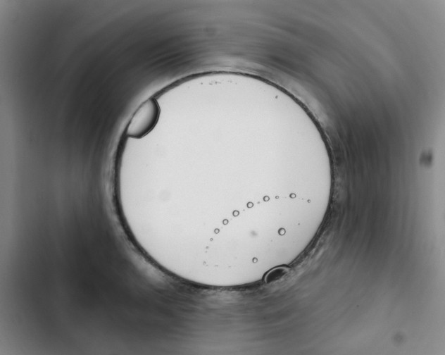 X0000102851136200809151121