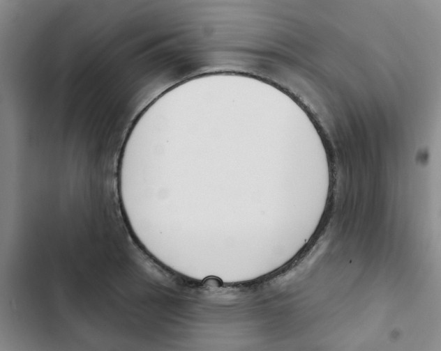 X0000102851137200809151121