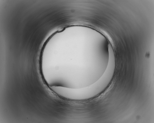 X0000102851138200809151121