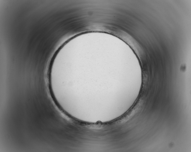 X0000102851141200809151121