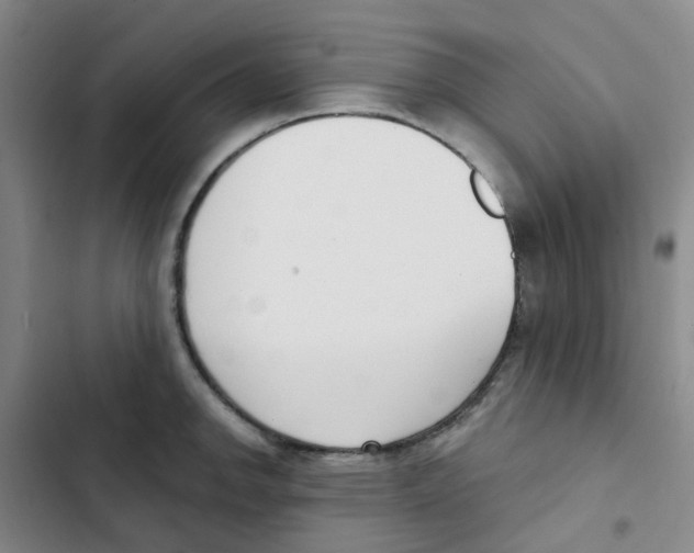 X0000102851142200809151121