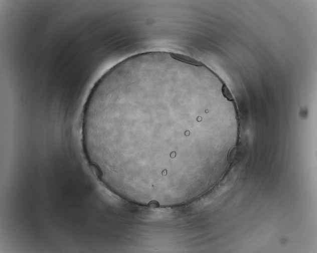 X0000102851144200809151121