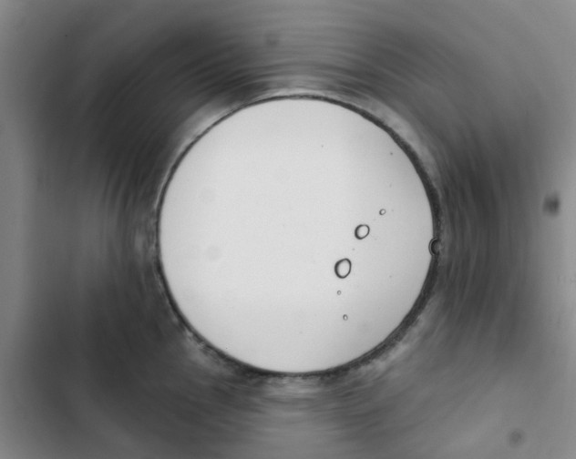 X0000102851145200809151121