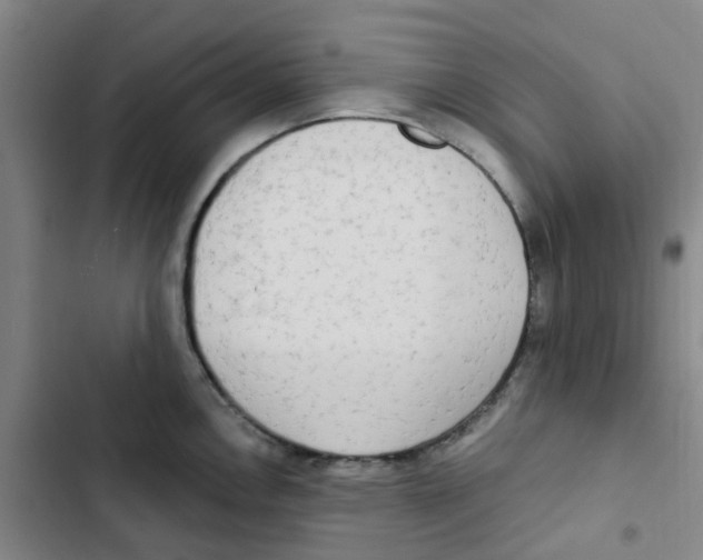 X0000102851146200809151121