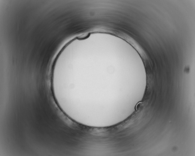 X0000102851148200809151121