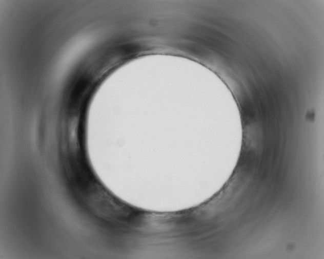 X0000102851150200809151121