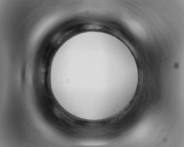 X0000102851151200809151121