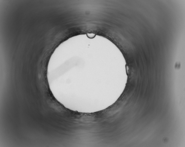 X0000102851153200809151121