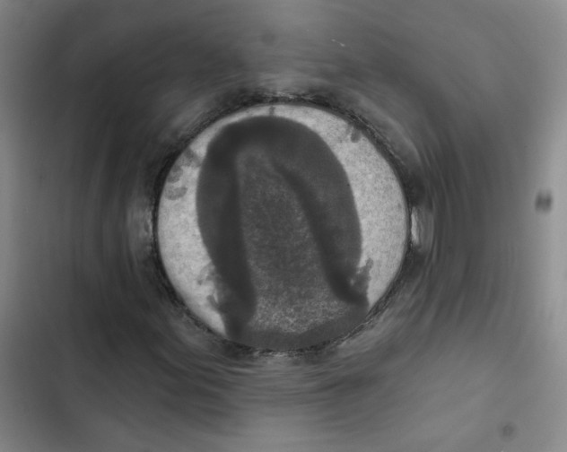 X0000102851155200809151120