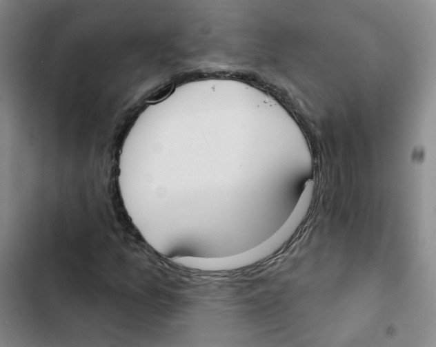 X0000102851157200809151120