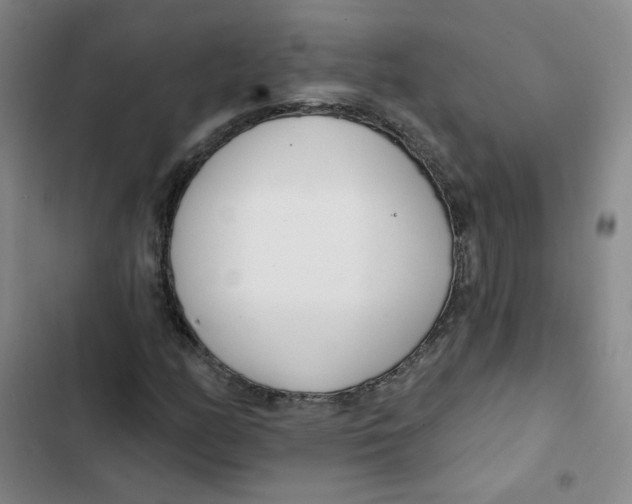 X0000102851158200809151120