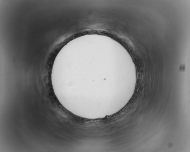 X0000102851159200809151120