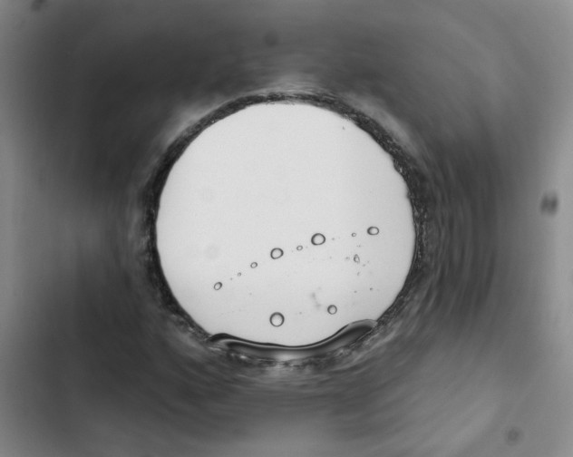 X0000102851160200809151120