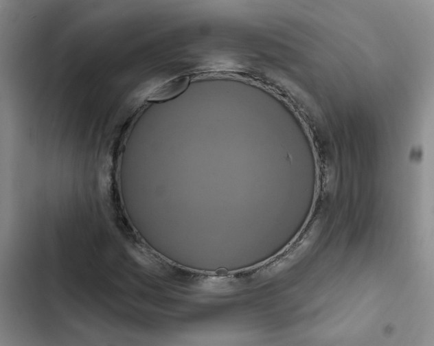 X0000102851161200809151120