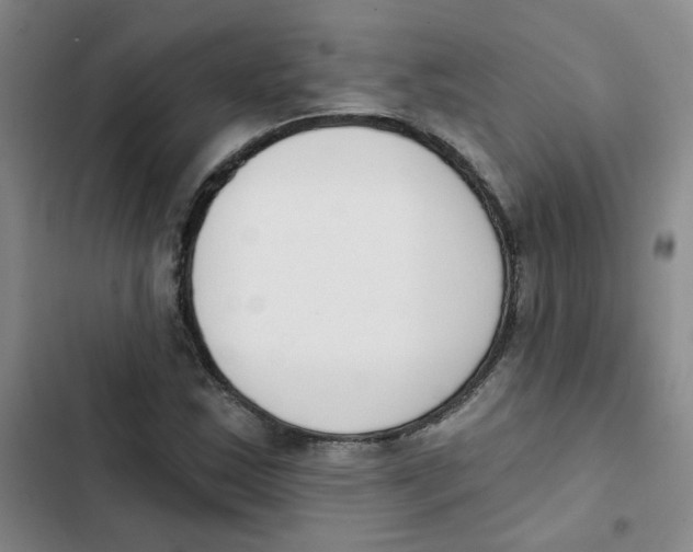 X0000102851163200809151120