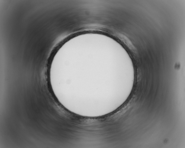 X0000102851164200809151120