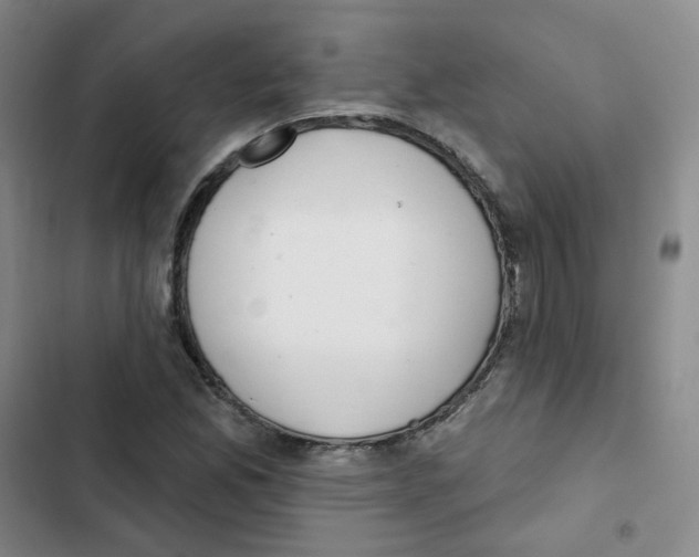 X0000102851165200809151120