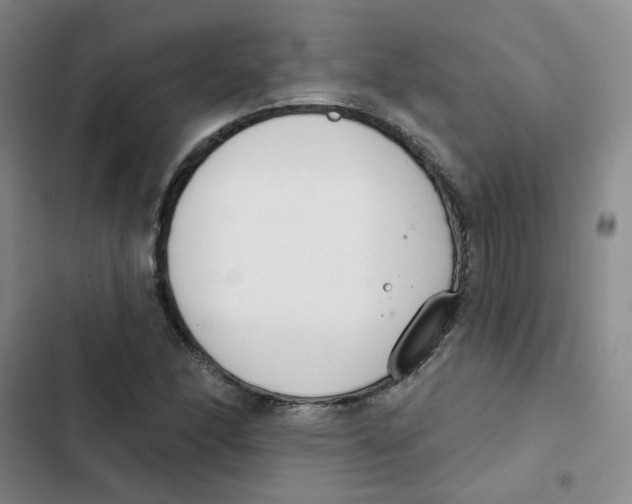 X0000102851166200809151120