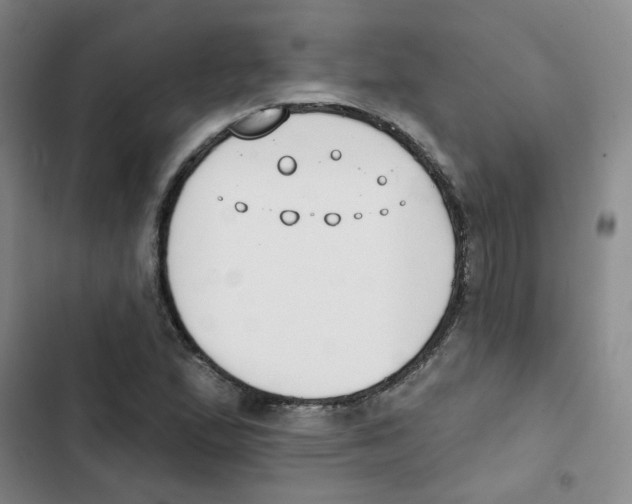 X0000102851167200809151120