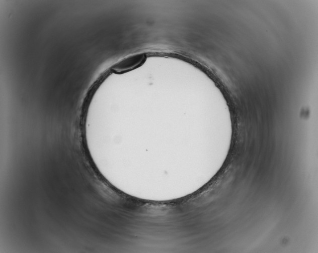 X0000102851168200809151120