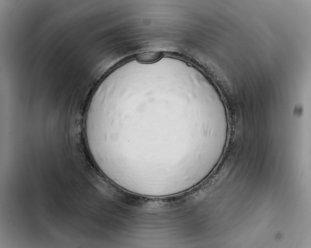 X0000102851169200809151120